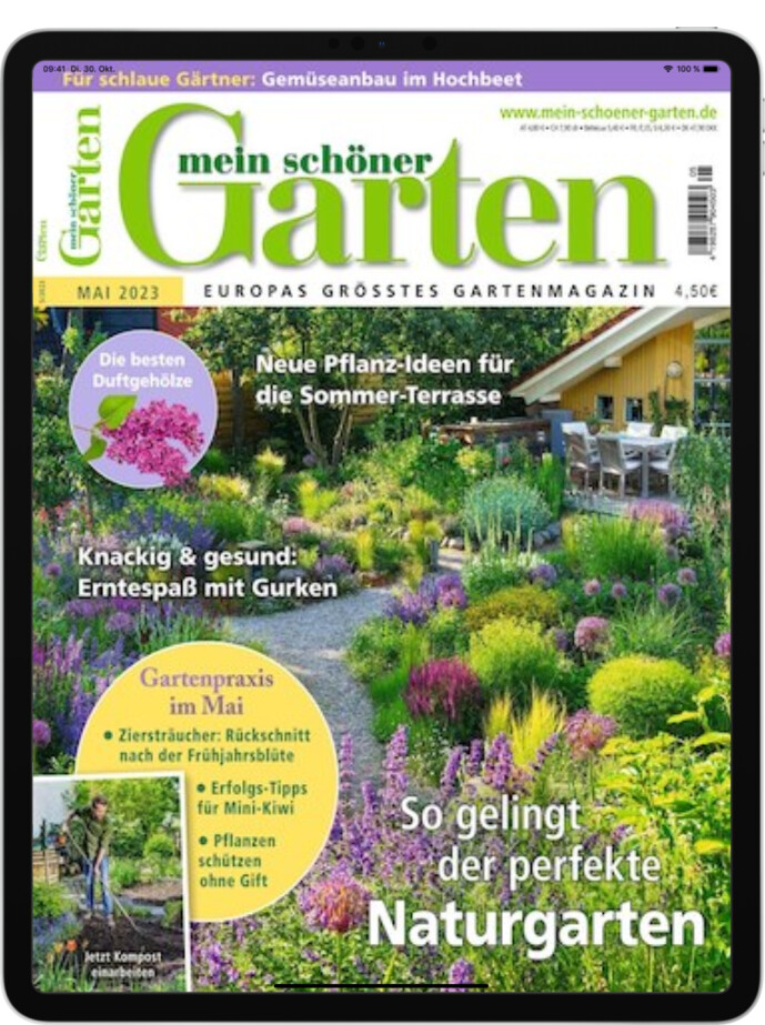 Zeitschrift Mein schöner Garten E-Paper Abo